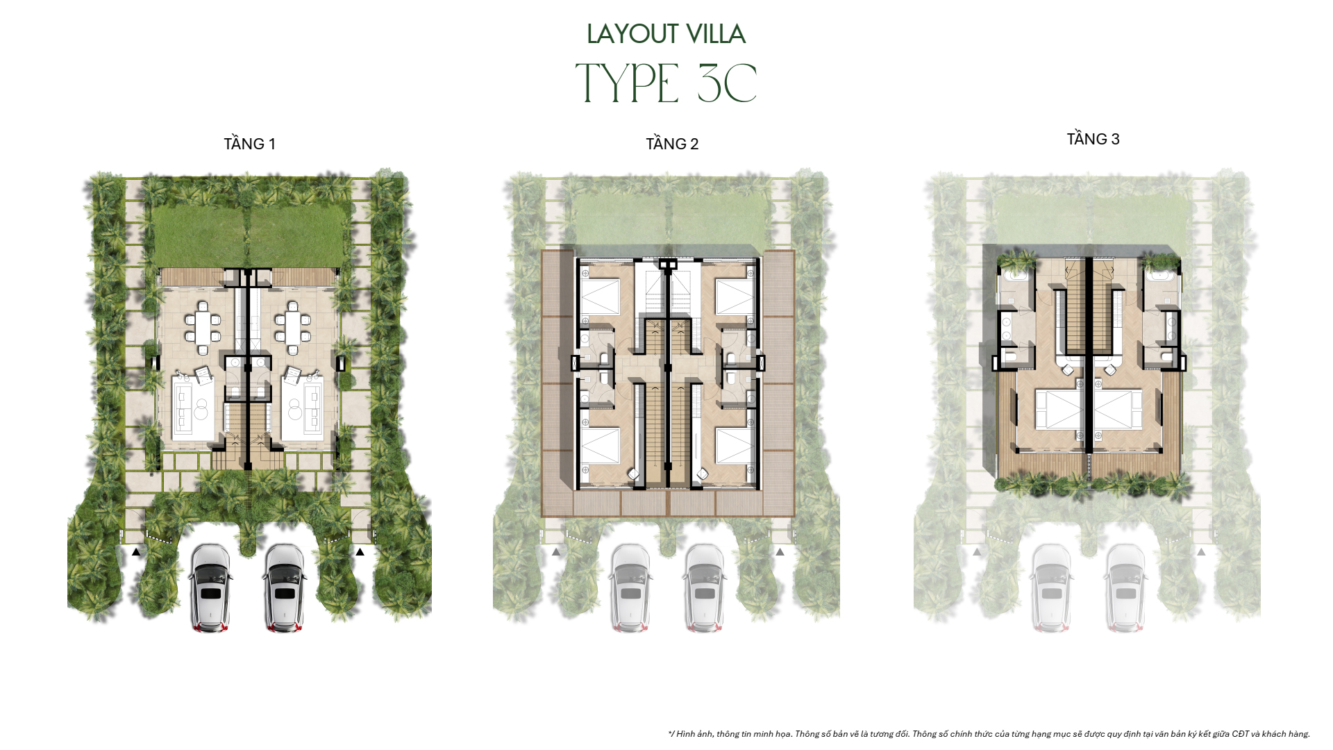Layout 3C