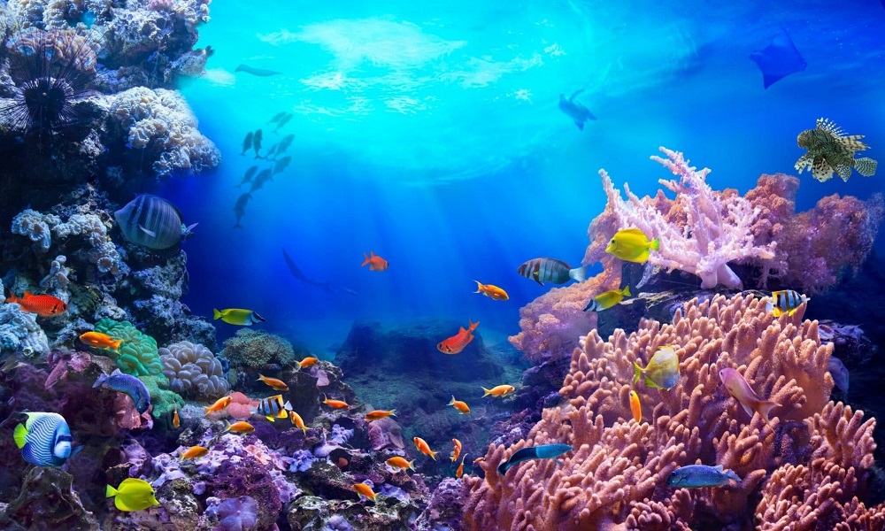 Tiện ích La Tiên Villa